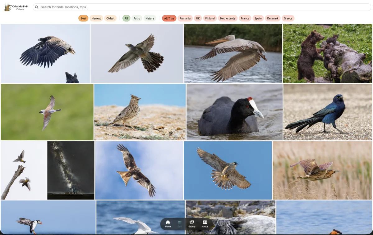 Example Nature Websites photography portfolio — orlandopb.com