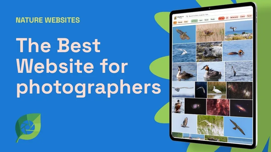 Nature Websites Feature Showcase